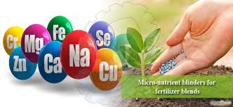 product category